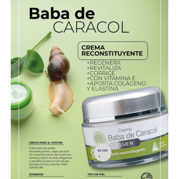 Crema Baba de Caracol 50grs Essien - Imagen 3